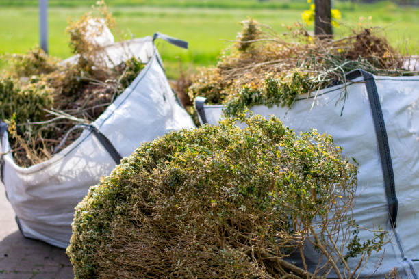 Best Yard Waste Removal  in Beechwood Trails, OH